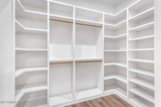 walk in closet with hardwood / wood-style floors