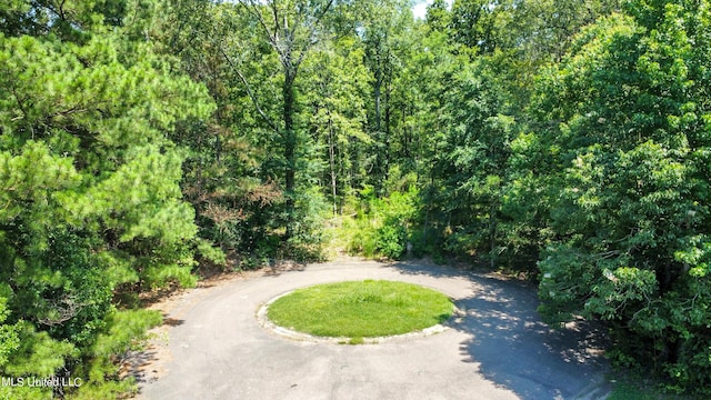 0 Shady Brook Cv, Byram, MS 39272