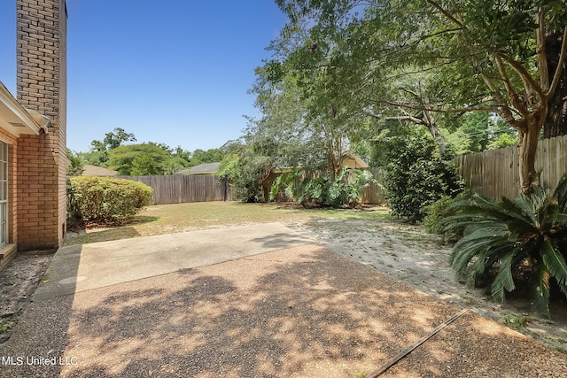 view of yard featuring a patio