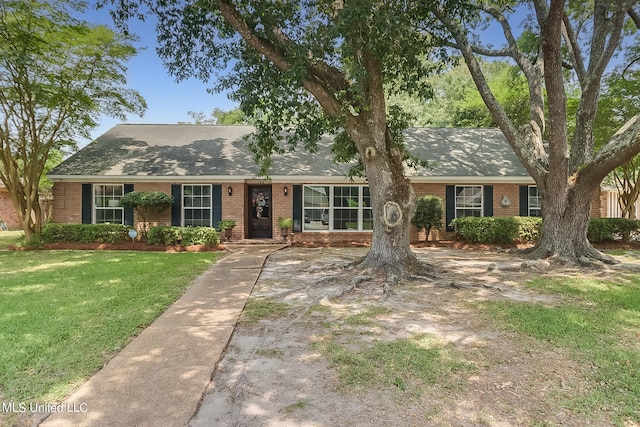 ranch-style house featuring a front yard