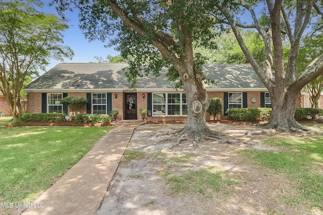 single story home featuring a front lawn