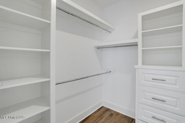 spacious closet featuring dark hardwood / wood-style flooring