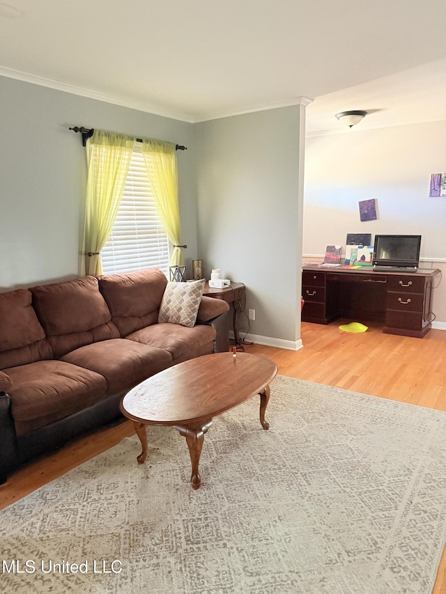 820 Ave Of Pines St, Grenada, MS 38901 - living room featuring ornamental molding and light hardwood / wood-style floors