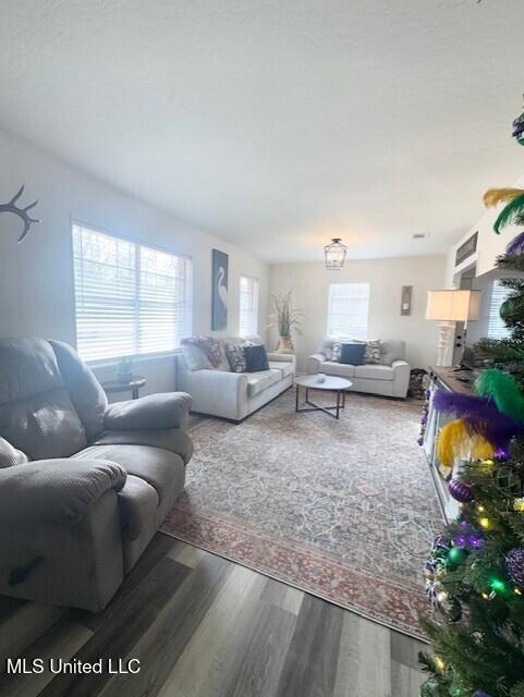 living room with hardwood / wood-style floors