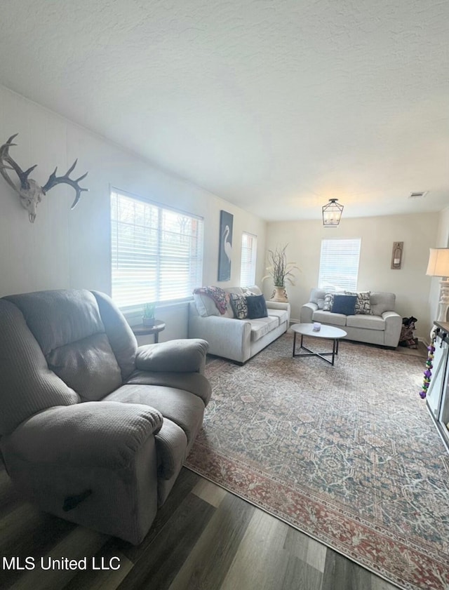 living room featuring hardwood / wood-style flooring and a textured ceiling