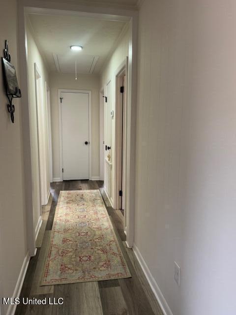 hallway with dark hardwood / wood-style flooring