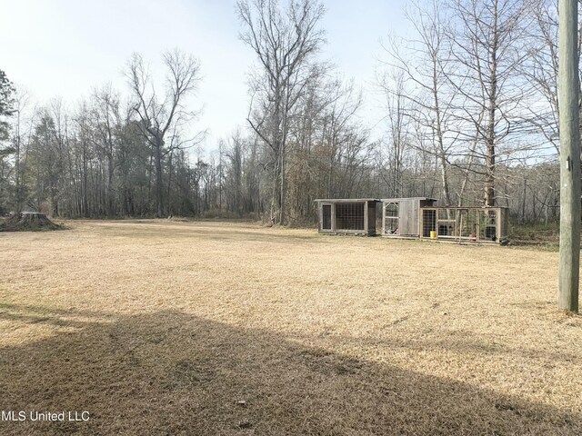 view of yard with an outbuilding