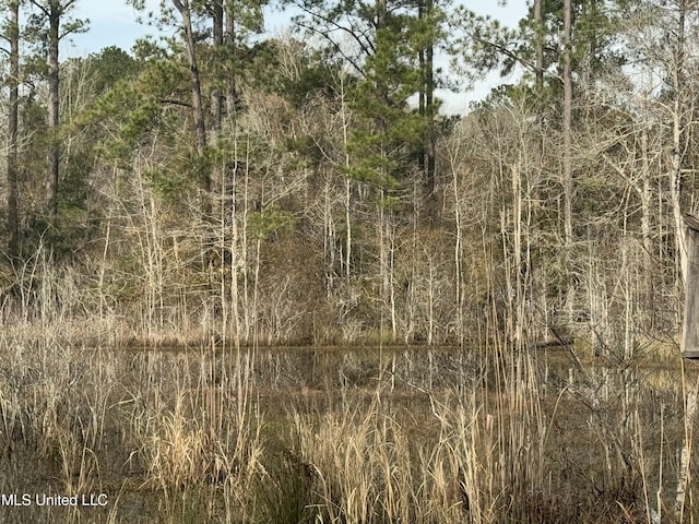 view of local wilderness