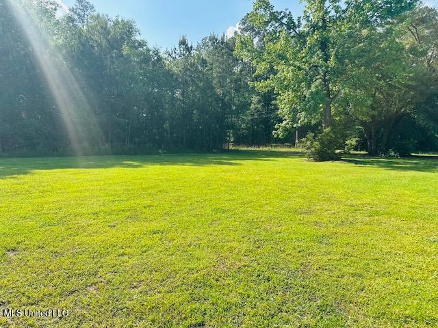 113 Richardson Rd, Picayune, MS 39466 - view of green lawn