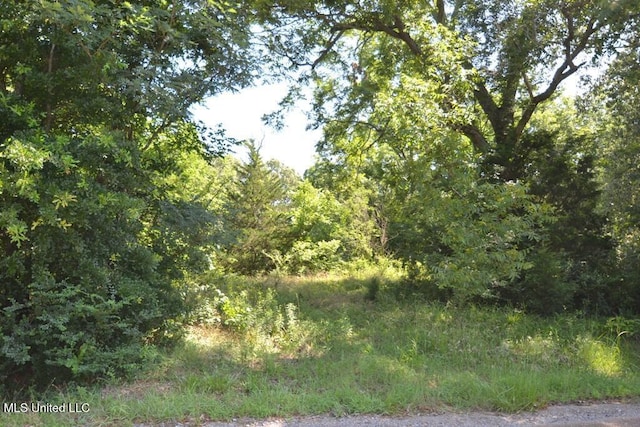 7730 Dunn Ln, Olive Branch, MS 38654