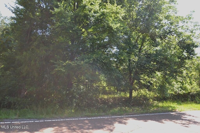 7730 Dunn Ln, Olive Branch, MS 38654