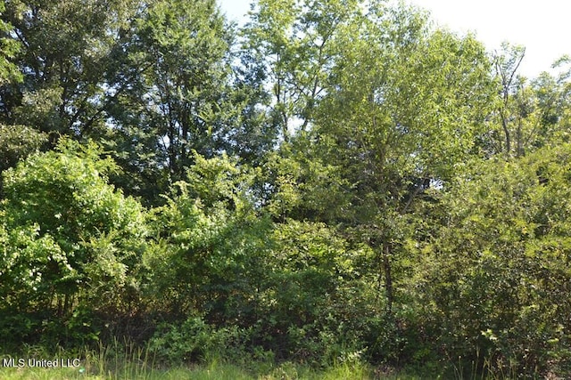7730 Dunn Ln, Olive Branch, MS 38654