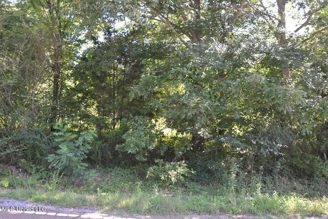 7730 Dunn Ln, Olive Branch, MS 38654