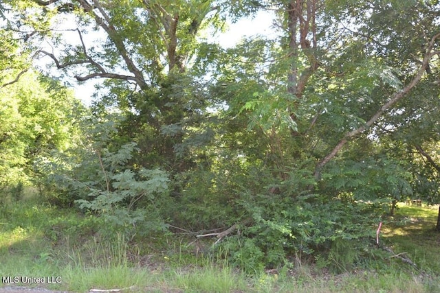 7730 Dunn Ln, Olive Branch, MS 38654