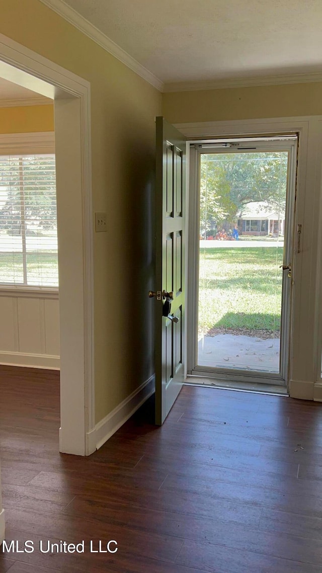 foyer featuring ornamental molding, a wealth of natural light, and dark hardwood / wood-style floors