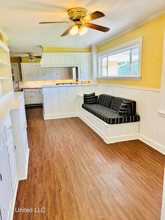 kitchen with white cabinetry, wood-type flooring, and ceiling fan