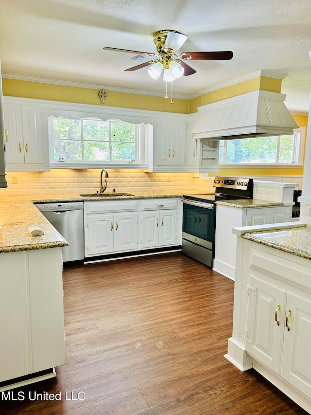 kitchen with ceiling fan, a wealth of natural light, custom range hood, sink, and stainless steel appliances