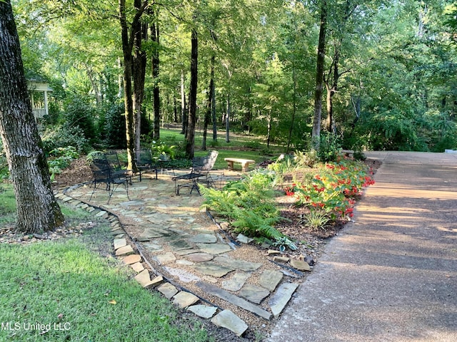 view of yard with a patio