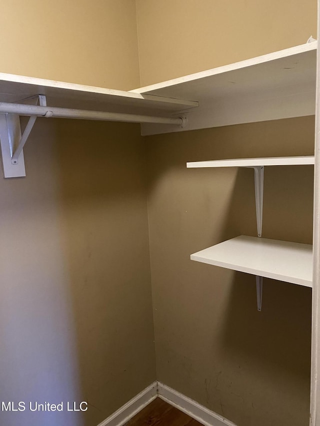 spacious closet featuring dark hardwood / wood-style flooring