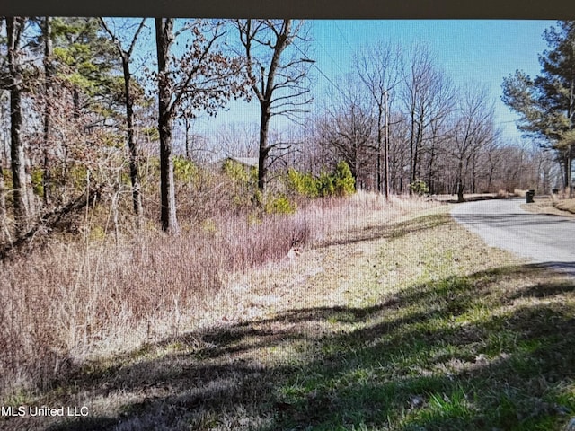 Listing photo 3 for No Red Hills Road, Byhalia MS 38611