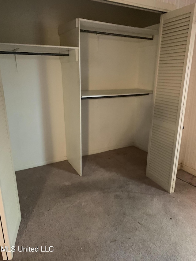 spacious closet with carpet