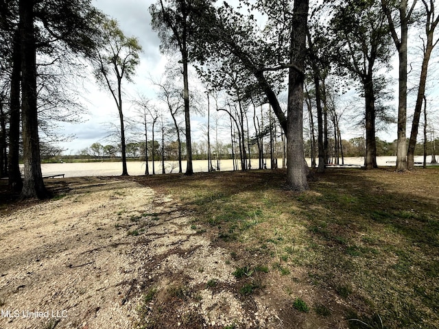 2997 Deerfield Rd, Yazoo City, MS 39194 - view of yard