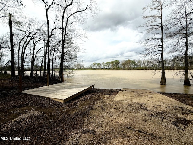 2997 Deerfield Rd, Yazoo City, MS 39194 - view of yard