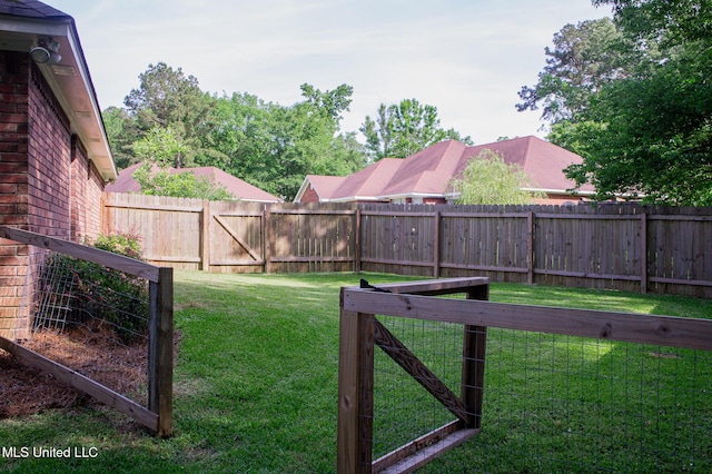 view of yard