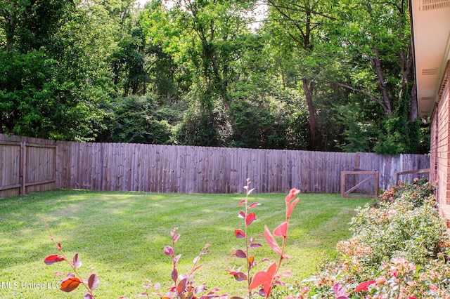 view of yard