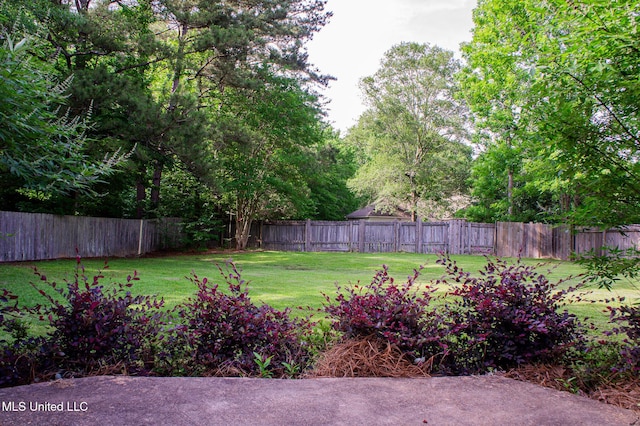 view of yard