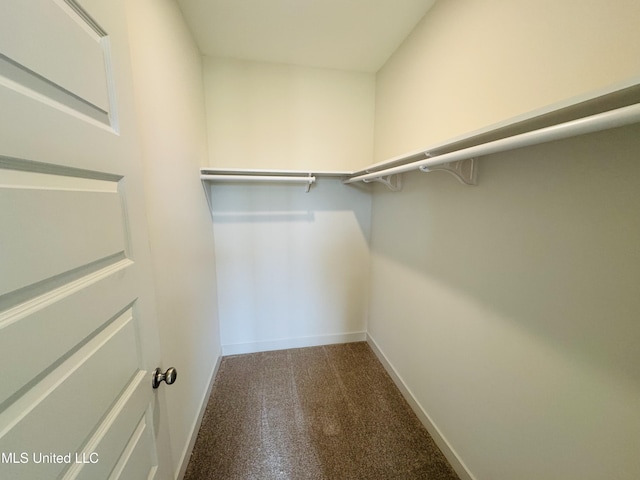9549 Mcelroy Farms Dr, Olive Branch, MS 38654 - walk in closet with carpet flooring