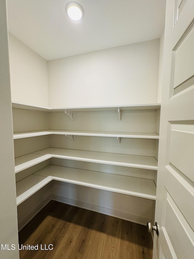 9549 Mcelroy Farms Dr, Olive Branch, MS 38654 - view of pantry