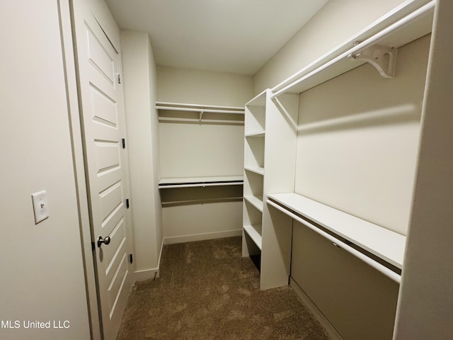 9549 Mcelroy Farms Dr, Olive Branch, MS 38654 - walk in closet featuring dark colored carpet