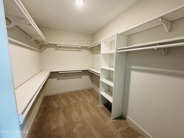 9549 Mcelroy Farms Dr, Olive Branch, MS 38654 - walk in closet with light colored carpet