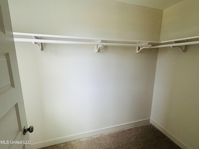 9549 Mcelroy Farms Dr, Olive Branch, MS 38654 - walk in closet featuring carpet flooring
