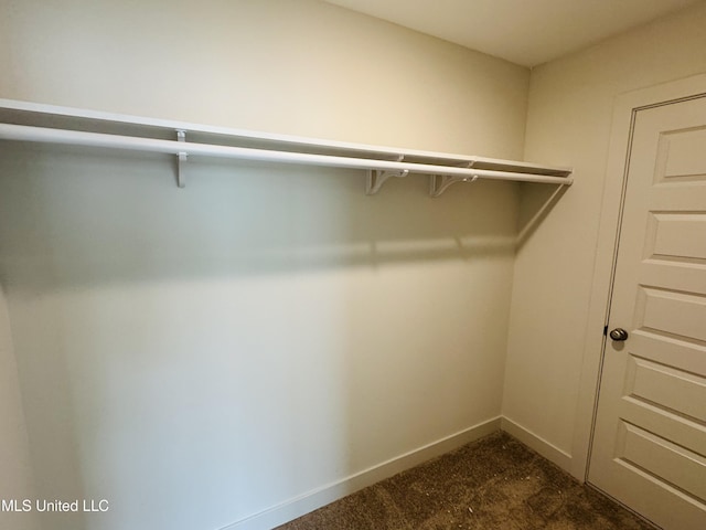 9549 Mcelroy Farms Dr, Olive Branch, MS 38654 - walk in closet with dark colored carpet