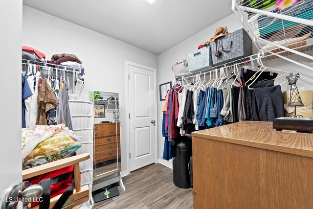 13400 Willow Oak Cir, Gulfport, MS 39503 - spacious closet featuring wood finished floors