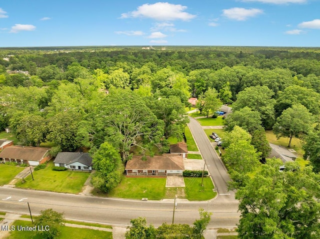 1320 Sally Dr, Picayune, MS 39466 - bird's eye view of a forest