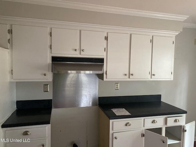 kitchen featuring crown molding, white cabinets, and ventilation hood