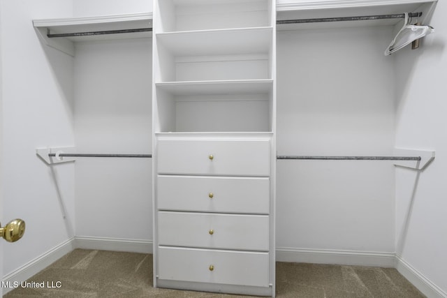 262 Geneva Blvd, Madison, MS 39110 - walk in closet with carpet