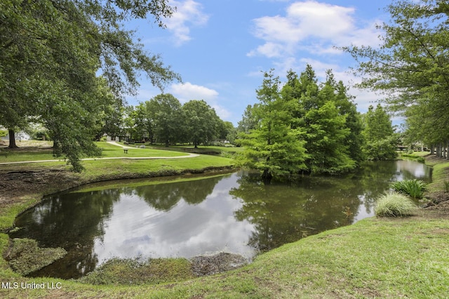 262 Geneva Blvd, Madison, MS 39110 - water view
