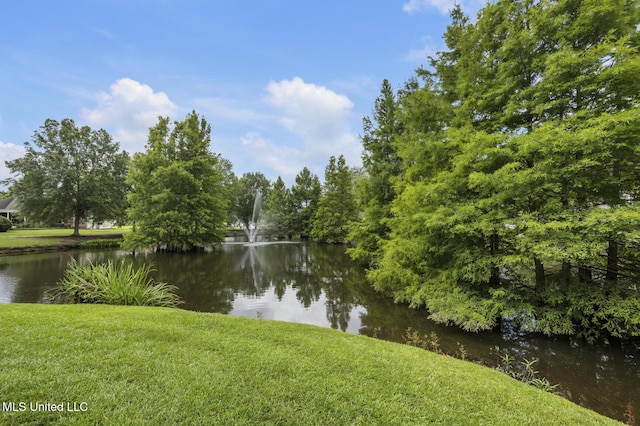262 Geneva Blvd, Madison, MS 39110 - water view