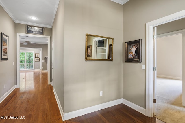 262 Geneva Blvd, Madison, MS 39110 - corridor featuring crown molding, dark wood-style flooring, and recessed lighting