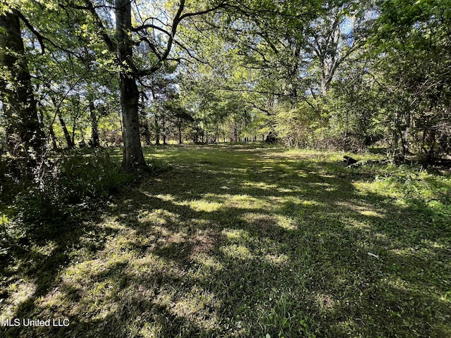 4595 Lucius Taylor Rd, Como, MS 38619 - view of green lawn