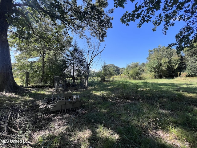 4595 Lucius Taylor Rd, Como, MS 38619 - view of nature