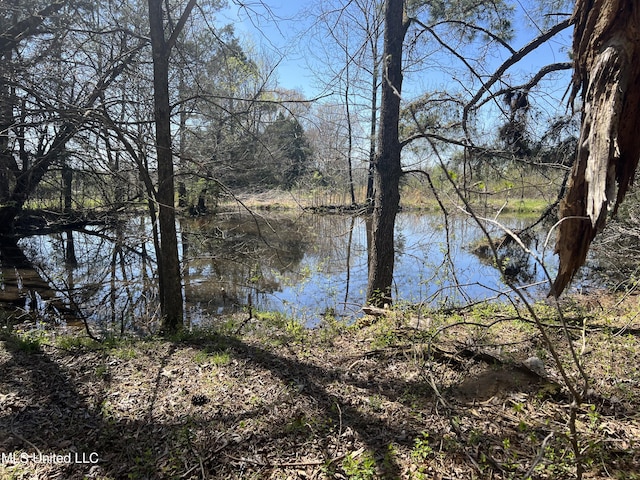 4595 Lucius Taylor Rd, Como, MS 38619 - water view