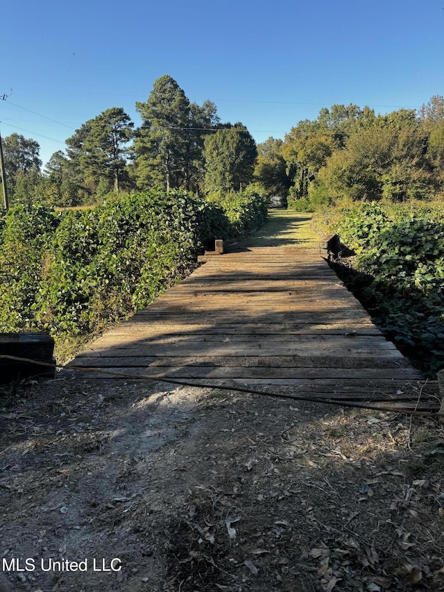 4595 Lucius Taylor Rd, Como, MS 38619 - view of street
