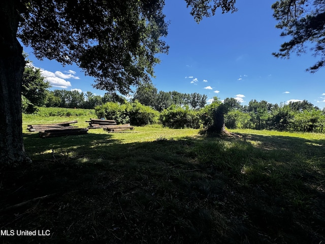 4595 Lucius Taylor Rd, Como, MS 38619 - view of grassy yard