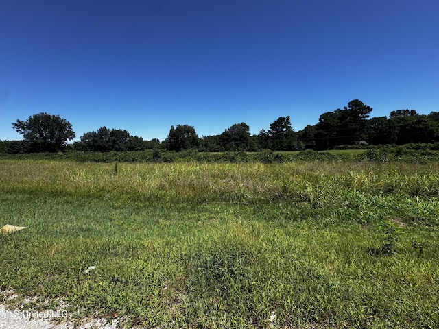 4595 Lucius Taylor Rd, Como, MS 38619 - view of local wilderness featuring rural landscape