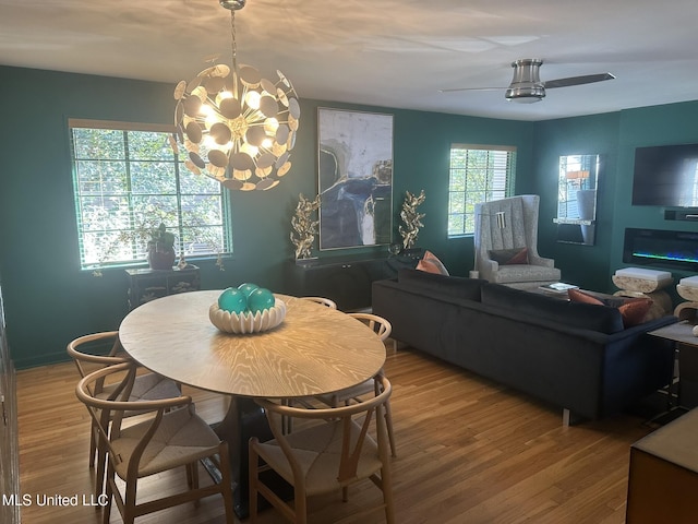 dining room with wood-type flooring and ceiling fan with notable chandelier